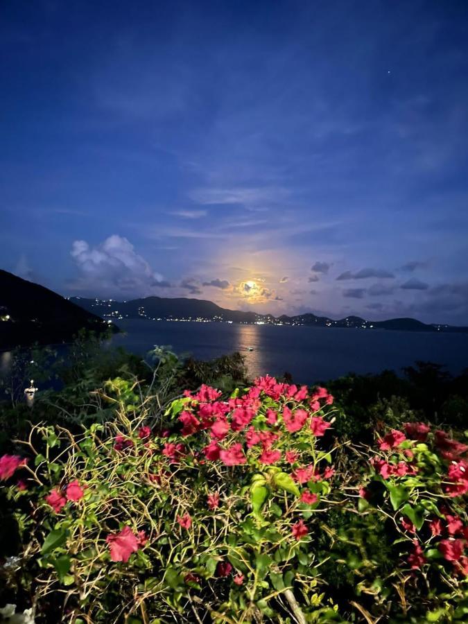 Ocean View Villas Jost Van Dyke Екстериор снимка
