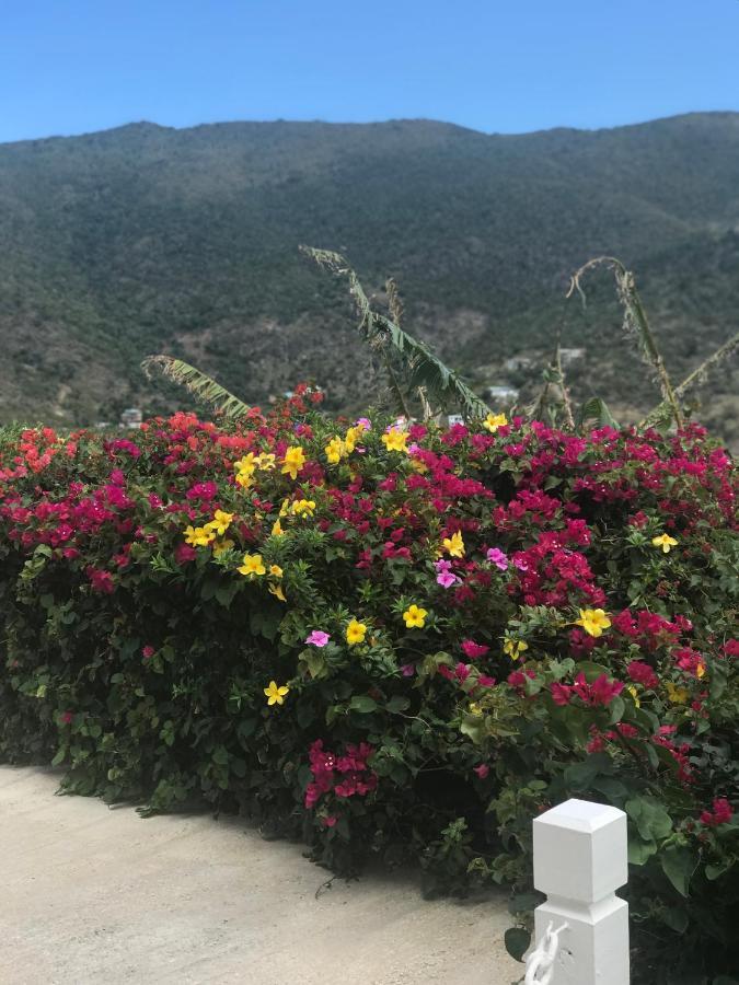 Ocean View Villas Jost Van Dyke Екстериор снимка